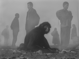 Pimienta and People in Fog, Bolivia, 2022